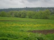 Креховичі з panoramio.com