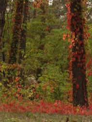 Радянське з panoramio.com