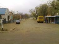 Нові Трояни з panoramio.com