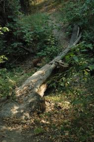 Артема з panoramio.com