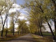 Добра з panoramio.com