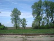 Старі Бейзими з panoramio.com