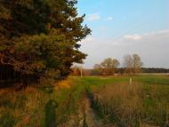 Самусіївка з panoramio.com