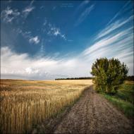 Гулі з panoramio.com