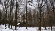 Ярок з panoramio.com - Ярок