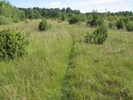 Любохини з panoramio.com