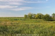 Банівка з panoramio.com