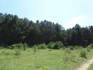 Новокленове з panoramio.com
