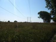 Рудня з panoramio.com