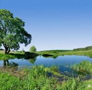 Борщова з panoramio.com