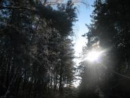 Нова Січ з panoramio.com