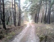 Тарасенки з panoramio.com - Тарасенки