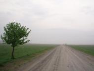 Віленька з panoramio.com