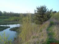 Марчихина Буда з panoramio.com