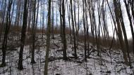 Ворочово з panoramio.com - Ворочево