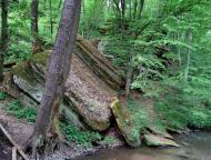 Слобода-Бушанська з panoramio.com