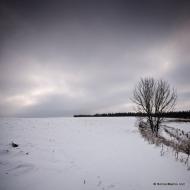 Гулі з panoramio.com