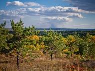 Криничне з panoramio.com