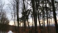 Ворочово з panoramio.com - Ворочево