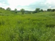 Данилівка з panoramio.com