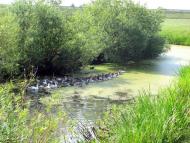 Городець з panoramio.com