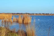 Дарівка з panoramio.com