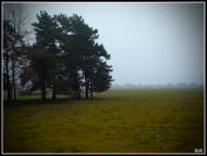 Забороль з panoramio.com