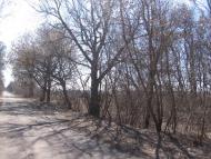 Малинівка з panoramio.com