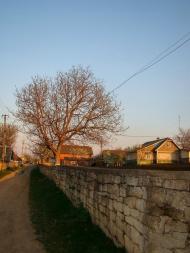 Хрещатик з panoramio.com