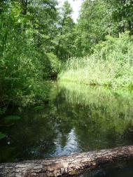 Стобихва з panoramio.com