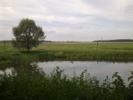 Новий Витків з panoramio.com