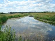 Лука з panoramio.com