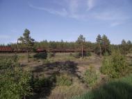 Ярова з panoramio.com