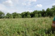 Маринівка з panoramio.com
