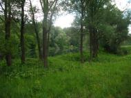 Приліпка з panoramio.com
