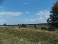 Куна з panoramio.com