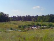 Абрикосівка з panoramio.com