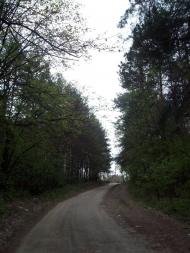 Тарасенки з panoramio.com