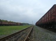 Веснянка з panoramio.com