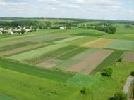 Лука з panoramio.com