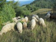 Бабин з panoramio.com