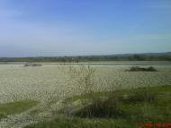 Любинці з panoramio.com