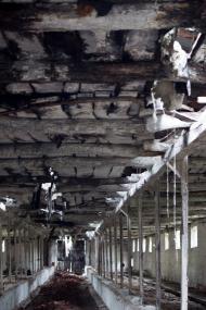 Мала Рогань з panoramio.com