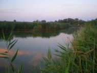 Базилівщина з panoramio.com