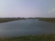 Степанівка з panoramio.com