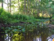 Стобихва з panoramio.com