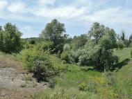 Вільхівка з panoramio.com