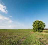 Гулі з panoramio.com