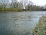 Заможнє з panoramio.com