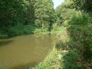 Рижики з panoramio.com